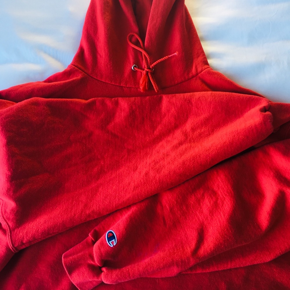 Champion crop top hoodie